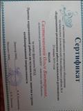 Сертификат участника районного методического объединения музыкальных руководителей Новосибирского района "Коррекционно - развивающая работа музыкального руководителя" 